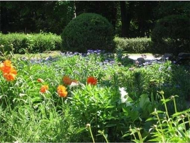 4 Meadow Ln, Walpole, MA 02081
