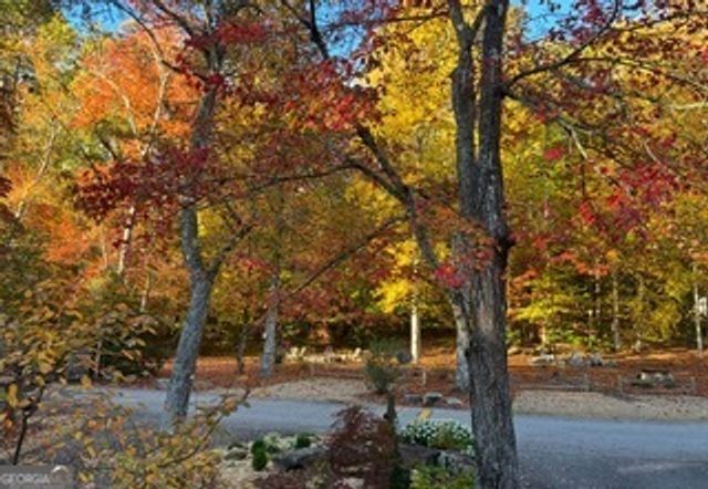4960 Laurel Lodge Road LOT 10, Clarkesville, GA 30523