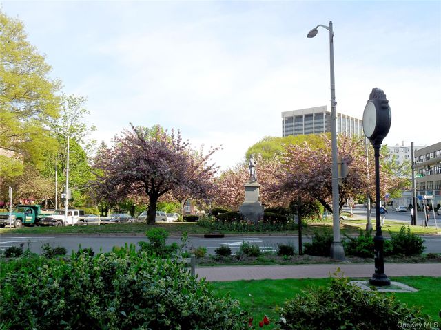 20 N Broadway K351, White Plains, NY 10601