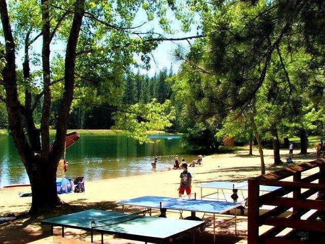 3370 Lakewood Dr, Arnold, CA 95223