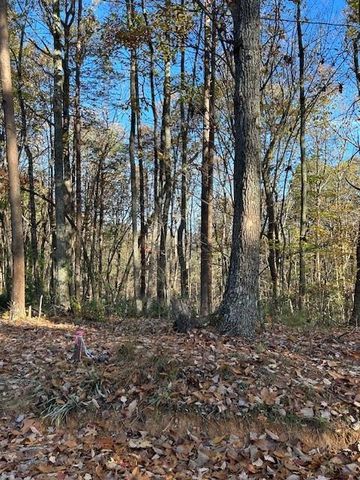 440 Ridge Road, Dawsonville, GA 30534