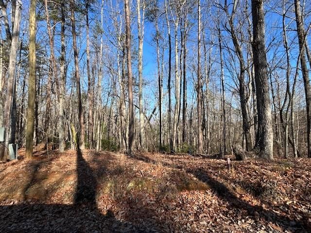 440 Ridge Road, Dawsonville, GA 30534