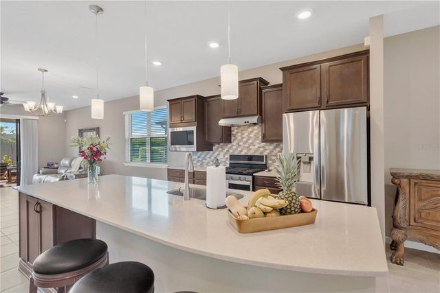 19367 COASTAL SHORE TERRACE, Land O Lakes, FL 34638