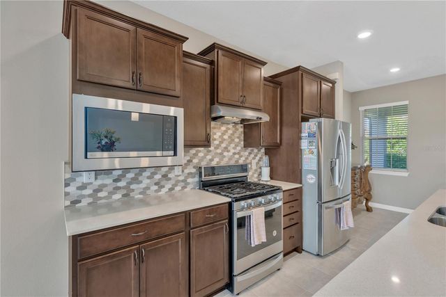 19367 COASTAL SHORE TERRACE, Land O Lakes, FL 34638