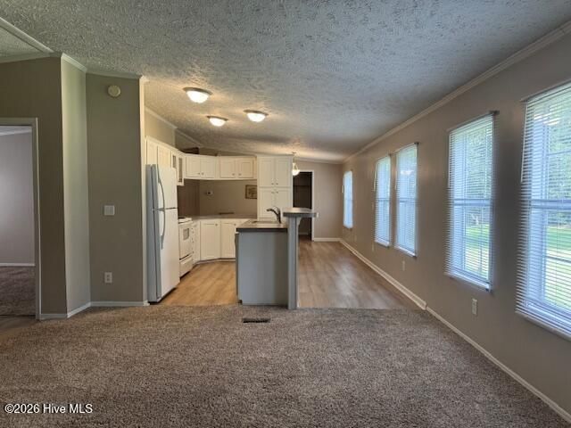 228 Bellhammon Forest Drive, Rocky Point, NC 28457