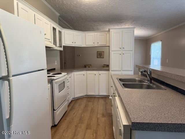 228 Bellhammon Forest Drive, Rocky Point, NC 28457