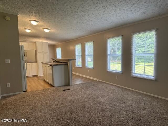 228 Bellhammon Forest Drive, Rocky Point, NC 28457