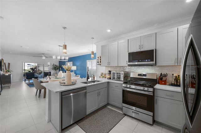 6236 SPRINGMONT LOOP, Palmetto, FL 34221