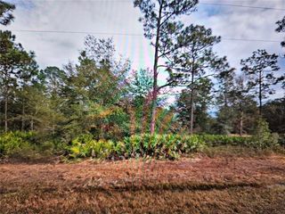 CREAGER AVE, Interlachen, FL 32148