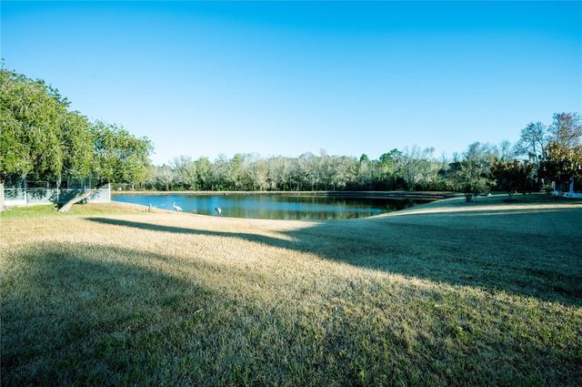 27350 NEW SMYRNA DRIVE, Wesley Chapel, FL 33544