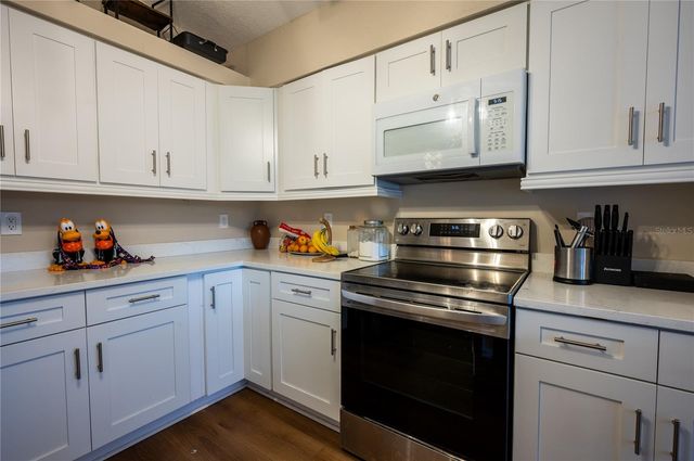 27350 NEW SMYRNA DRIVE, Wesley Chapel, FL 33544