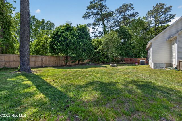 421 Celtic Ash Street, Sneads Ferry, NC 28460