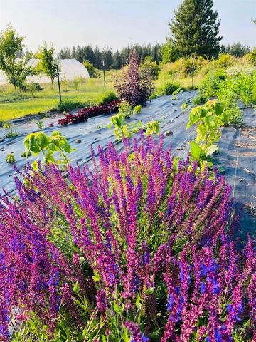 110 Abiding Way, Kooskia, ID 83536