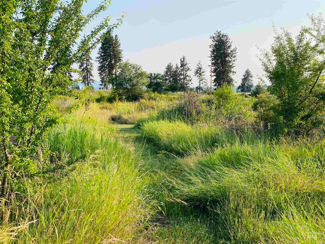 110 Abiding Way, Kooskia, ID 83536