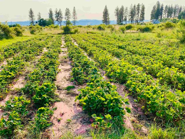 110 Abiding Way, Kooskia, ID 83536