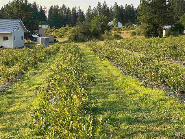 110 Abiding Way, Kooskia, ID 83536