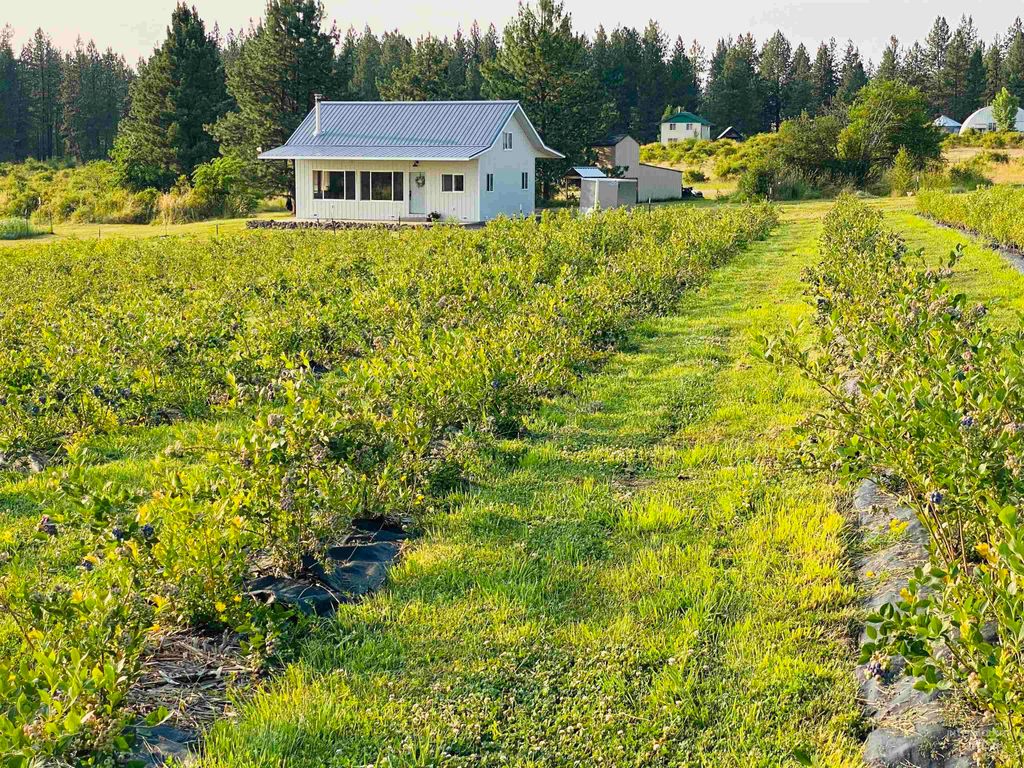 110 Abiding Way, Kooskia, ID 83536