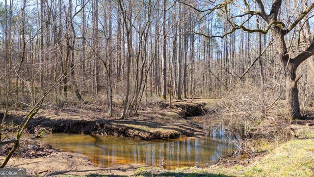 1783 Four Mile Church Road, Ball Ground, GA 30107