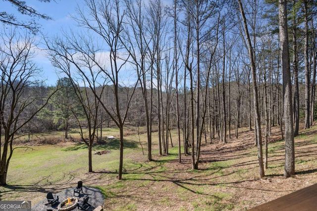 1783 Four Mile Church Road, Ball Ground, GA 30107