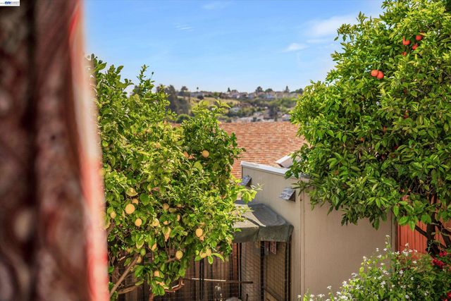 18419 Clifton Way, Castro Valley, CA 94546