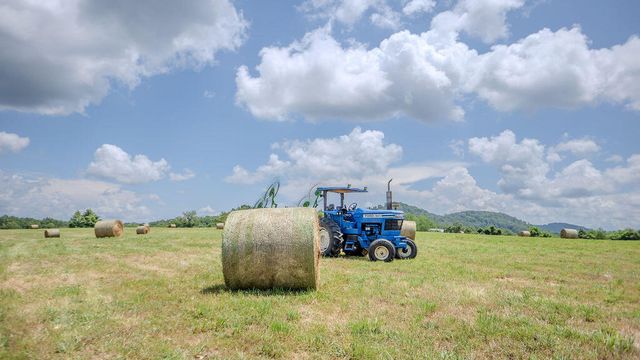 541 Rosemont Road, Irvine, KY 40336