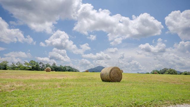 541 Rosemont Road, Irvine, KY 40336