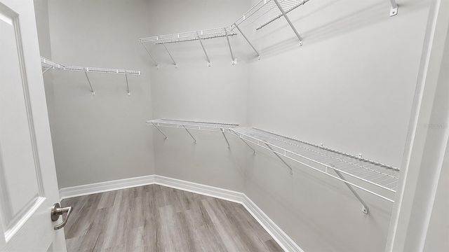 10903 GREEN HARVEST DRIVE, Riverview, FL 33579