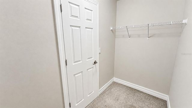 10903 GREEN HARVEST DRIVE, Riverview, FL 33579
