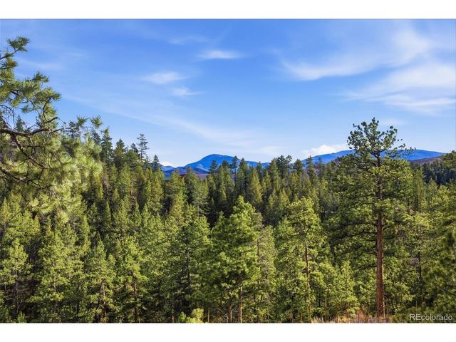 31455 Half Peak Trl, Pine, CO 80470