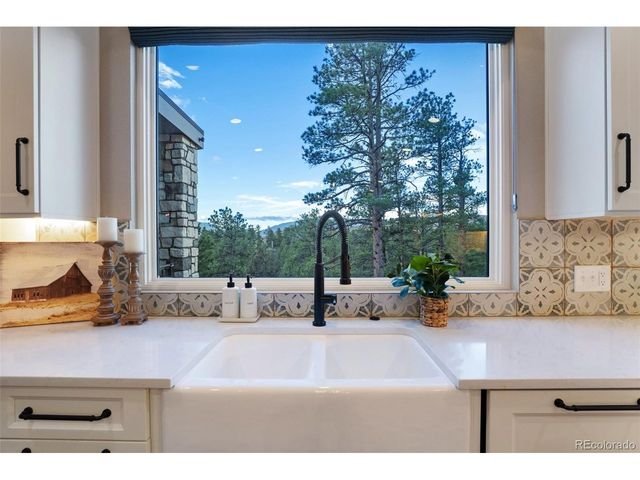 31455 Half Peak Trl, Pine, CO 80470