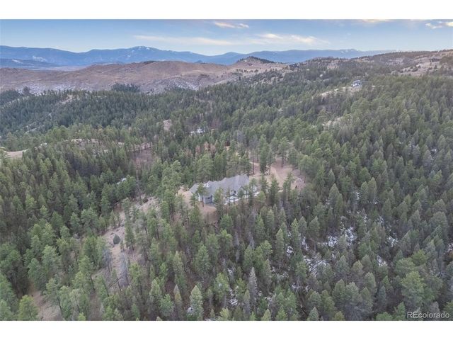 31455 Half Peak Trl, Pine, CO 80470