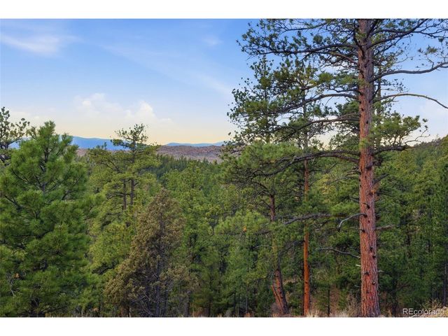 31455 Half Peak Trl, Pine, CO 80470