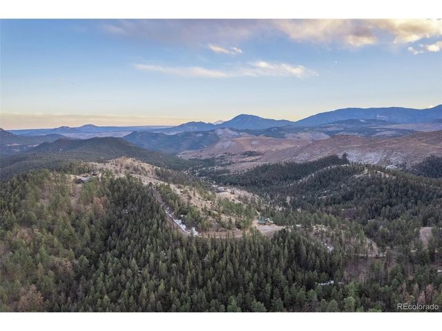 31455 Half Peak Trl, Pine, CO 80470