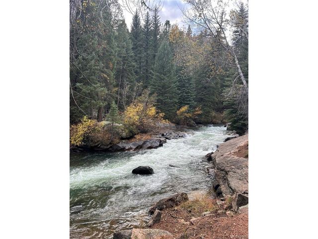 31455 Half Peak Trl, Pine, CO 80470