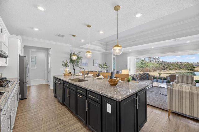 18535 COASTAL SHORE TERRACE, Land O Lakes, FL 34638