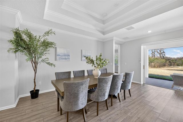 18535 COASTAL SHORE TERRACE, Land O Lakes, FL 34638