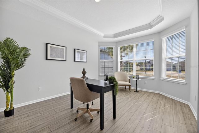 18535 COASTAL SHORE TERRACE, Land O Lakes, FL 34638