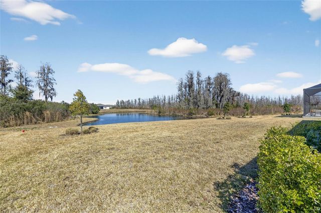 18535 COASTAL SHORE TERRACE, Land O Lakes, FL 34638