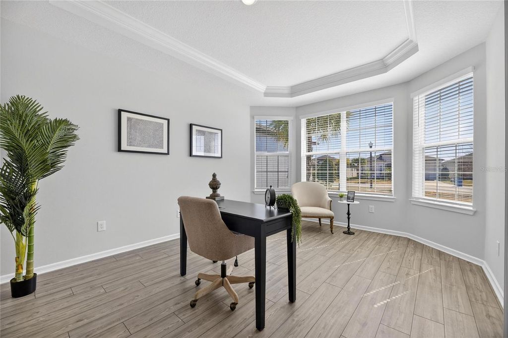 Image 32 of property listing at 18535 COASTAL SHORE TERRACE, Land O Lakes, FL 34638