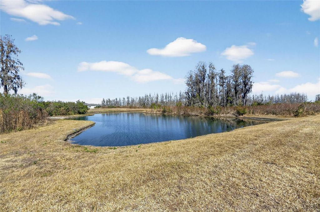 Image 53 of property listing at 18535 COASTAL SHORE TERRACE, Land O Lakes, FL 34638