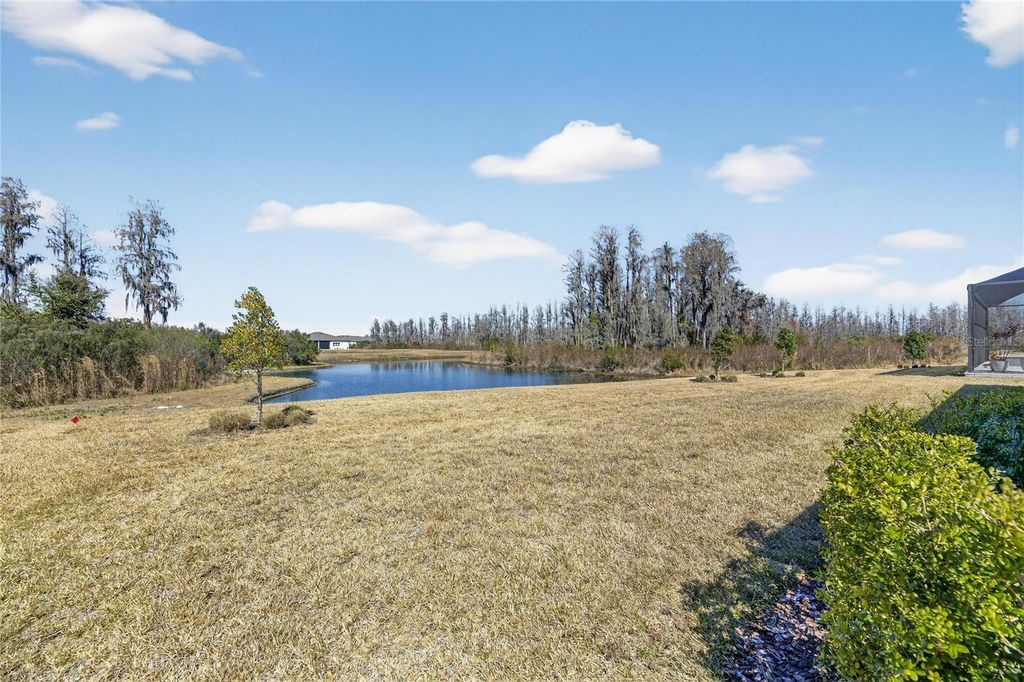 Image 54 of property listing at 18535 COASTAL SHORE TERRACE, Land O Lakes, FL 34638