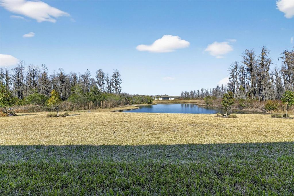 Image 55 of property listing at 18535 COASTAL SHORE TERRACE, Land O Lakes, FL 34638