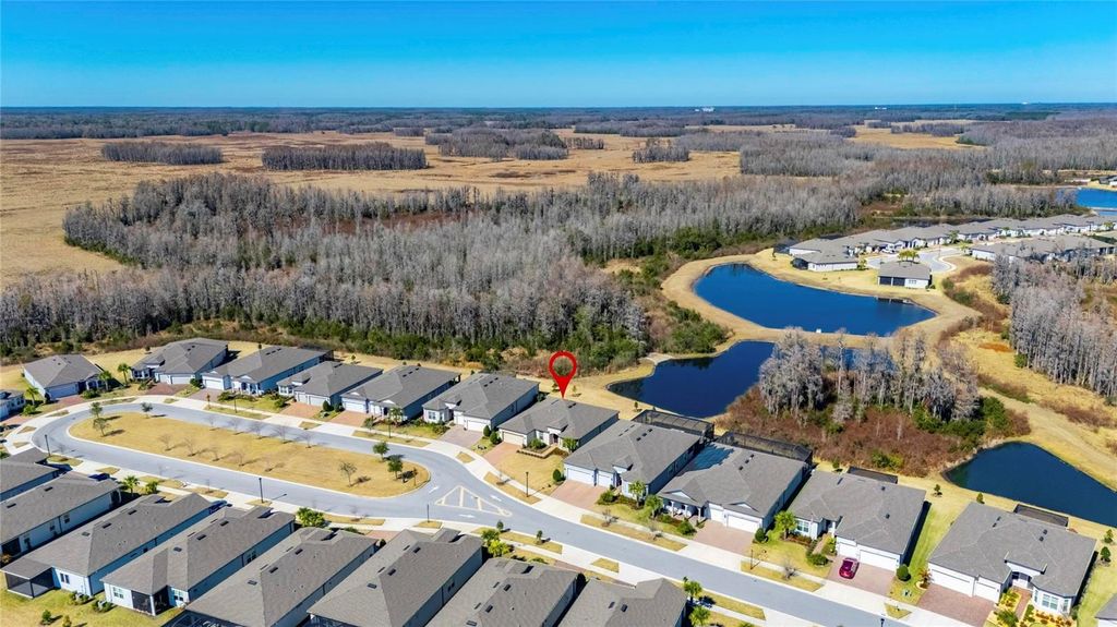 Image 61 of property listing at 18535 COASTAL SHORE TERRACE, Land O Lakes, FL 34638