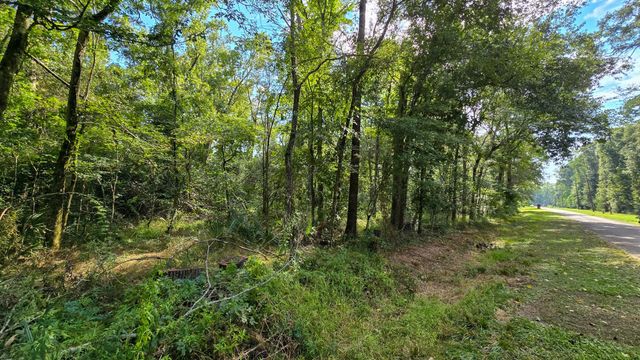 1 Cherry Laurel Ln, New Caney, TX 77357
