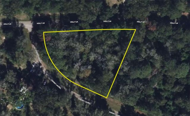 1 Cherry Laurel Ln, New Caney, TX 77357
