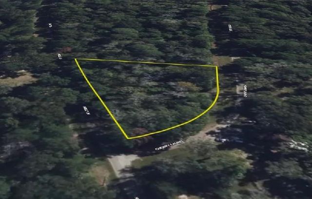 1 Cherry Laurel Ln, New Caney, TX 77357