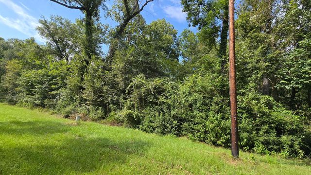 1 Cherry Laurel Ln, New Caney, TX 77357