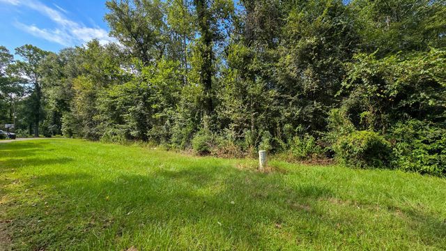1 Cherry Laurel Ln, New Caney, TX 77357