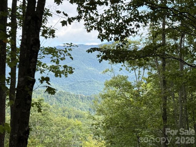 LT 262 Tote Road 262, Sylva, NC 28779