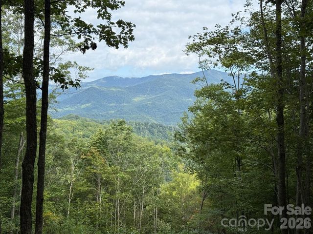 LT 262 Tote Road 262, Sylva, NC 28779